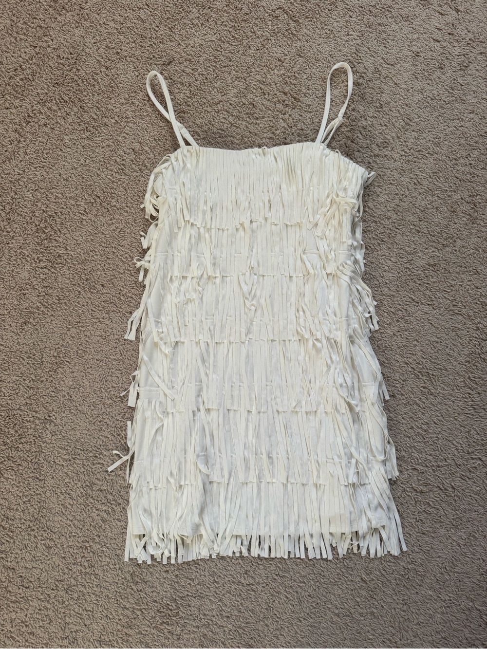 Francesca's Collections Ivory Fringe Mini Dress
